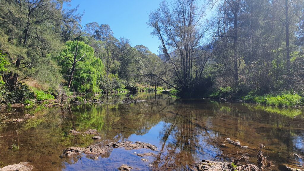 Little Manning River, near Coneac and Woko National Par