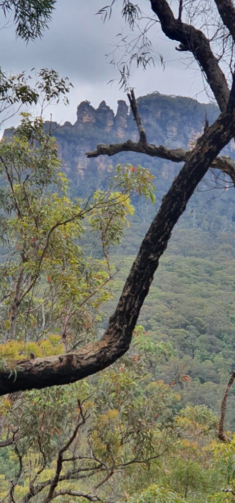View of the Three Sisters looking up from the Jamison Valley