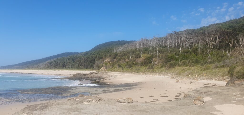 Beach on Murramarang South Coast Walk